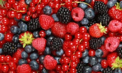 frutti di bosco surgelati Ministero epatite a