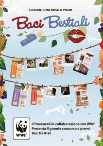 concorso i provenzali