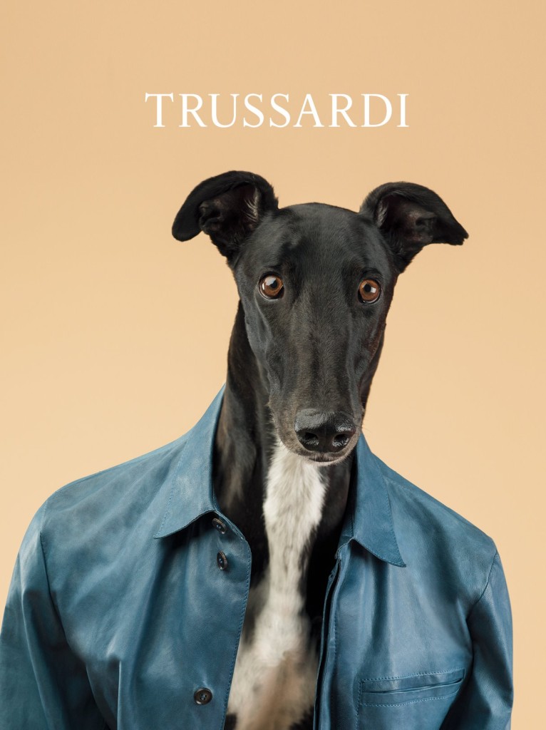trussardi-campagna-ss14-levriero-3