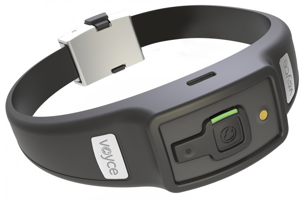 Voyce-collar-image-001-614x406