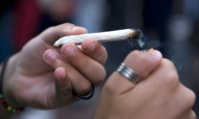 Allarme droghe: l'abuso di cannabis può condurre a morte