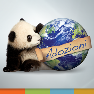 wwf adozioni