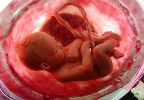articolo-2-immagine-2
