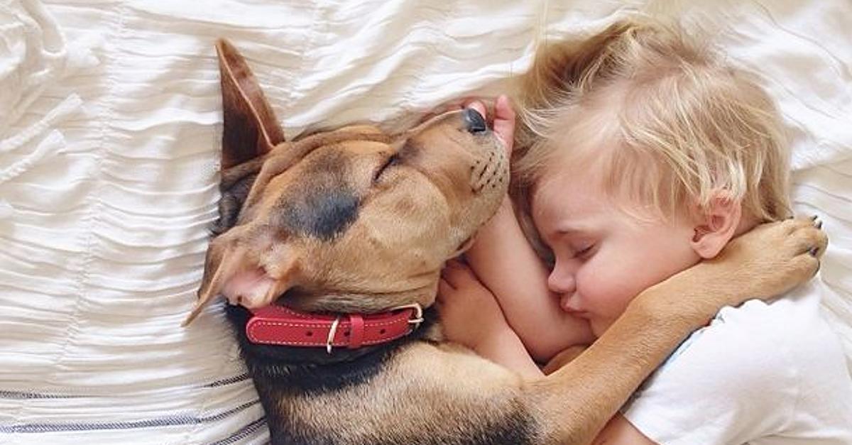 cani-e-bambini-5-consigli-per-una-corretta-amicizia