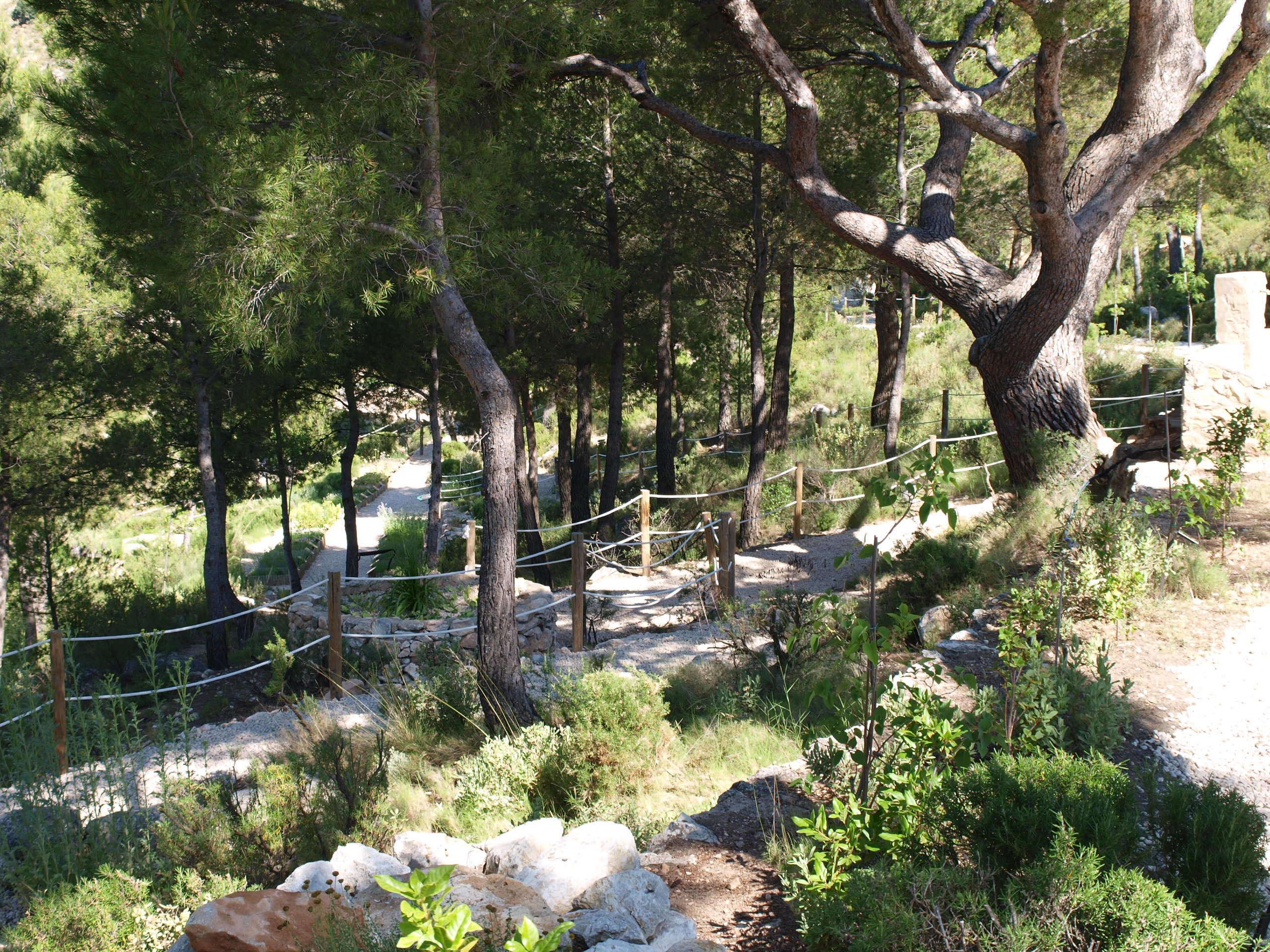 Torretes-Font Roja alicante