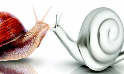 crema bava di lumaca